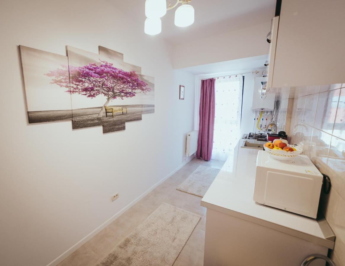 Homey Studio Tulcea Exterior foto